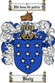 Thumbnail Baly Family Crest Baly Coat of Arms Thumbnail Baly Family Crest Baly Coat of Arms