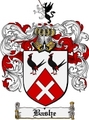 Thumbnail Bashe Family Crest Bashe Coat of Arms Digital Download