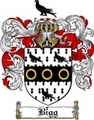 Thumbnail Bigg Family Crest Bigg Coat of Arms Thumbnail Bigg Family Crest Bigg Coat of Arms
