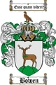 Thumbnail Bowen Family Crest / Bowen Coat of Arms