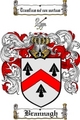 Thumbnail Brannagh Family Crest  Brannagh Coat of Arms
