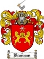Thumbnail Brannan Family Crest  Brannan Coat of Arms