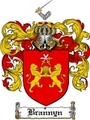 Thumbnail Brannyn Family Crest  Brannyn Coat of Arms
