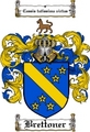 Thumbnail Brettoner Family Crest  Brettoner Coat of Arms