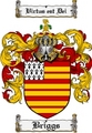Thumbnail Briggs Family Crest Briggs Coat of Arms Digital Download Thumbnail Briggs Family Crest Briggs Coat of Arms Digital Download
