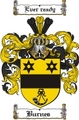 Thumbnail Burnes Family Crest  Burnes Coat of Arms