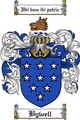 Thumbnail Bywell Family Crest Bywell Coat of Arms Digital Download