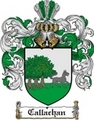Thumbnail Callachan Family Crest  Callachan Coat of Arms