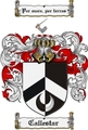 Thumbnail Callestar Family Crest  Callestar Coat of Arms