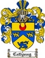 Thumbnail Catlyng Family Crest  Catlyng Coat of Arms