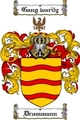 Thumbnail Drummann Family Crest  Drummann Coat of Arms