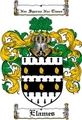 Thumbnail Elames Family Crest  Elames Coat of Arms