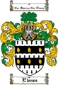 Thumbnail Eleam Family Crest  Eleam Coat of Arms