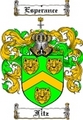 Thumbnail Fitz Family Crest  Fitz Coat of Arms
