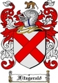 Thumbnail Fitzgerald Family Crest / Fitzgerald Coat of Arms