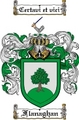 Thumbnail Flanaghan Family Crest  Flanaghan Coat of Arms