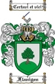 Thumbnail Flanigen Family Crest Flanigen Coat of Arms Thumbnail Flanigen Family Crest Flanigen Coat of Arms