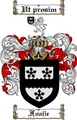 Thumbnail Foalie Family Crest  Foalie Coat of Arms