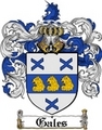 Thumbnail Gales Family Crest Gales Coat of Arms Thumbnail Gales Family Crest Gales Coat of Arms