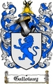 Thumbnail Galloway Family Crest  Galloway Coat of Arms