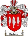 Thumbnail Galvin Family Crest  Galvin Coat of Arms