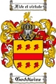 Thumbnail Goddwine Family Crest Goddwine Coat of Arms Digital Download