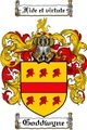 Thumbnail Goddwyne Family Crest Goddwyne Coat of Arms Digital Download