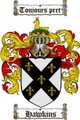 Thumbnail Hawkins Family Crest / Hawkins Coat of Arms