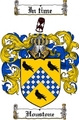 Thumbnail Houstone Family Crest  Houstone Coat of Arms