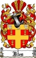 Thumbnail Jiles Family Crest  Jiles Coat of Arms