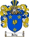 Thumbnail Jolly Family Crest  Jolly Coat of Arms