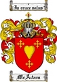 Thumbnail Mcadam Family Crest  Mcadam Coat of Arms