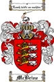 Thumbnail Mcbrine Family Crest  Mcbrine Coat of Arms
