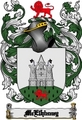 Thumbnail Mcelhinney Family Crest  Mcelhinney Coat of Arms Digital Download