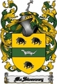 Thumbnail Mcswenney Family Crest  Mcswenney Coat of Arms Digital Download