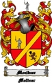 Thumbnail Moeltner Family Crest  Moeltner Coat of Arms Digital Download