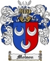 Thumbnail Molson Family Crest Molson Coat of Arms Digital Download
