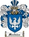 Thumbnail Montalvo Family Crest  Montalvo Coat of Arms