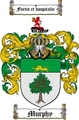 Thumbnail Murphy Family Crest / Murphy Coat of Arms