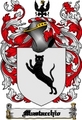 Thumbnail Mustacchio Family Crest Mustacchio Coat of Arms Digital Download Thumbnail Mustacchio Family Crest Mustacchio Coat of Arms Digital Download