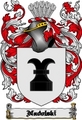 Thumbnail Nadolski Family Crest  Nadolski Coat of Arms Digital Download