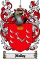 Thumbnail Nalley Family Crest Nalley Coat of Arms Digital Download Thumbnail Nalley Family Crest Nalley Coat of Arms Digital Download