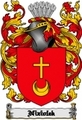 Thumbnail Niziolek Family Crest  Niziolek Coat of Arms Digital Download