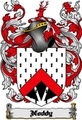 Thumbnail Noddy Family Crest  Noddy Coat of Arms Digital Download