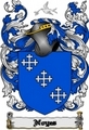 Thumbnail Noyes Family Crest  Noyes Coat of Arms Digital Download
