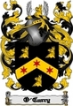 Thumbnail O-Curry Family Crest  O-Curry Coat of Arms Digital Download