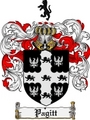 Thumbnail Pagitt Family Crest  Pagitt Coat of Arms