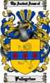 Thumbnail Pellegrino Family Crest  Pellegrino Coat of Arms Digital Download