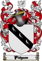 Thumbnail Pidgeon Family Crest  Pidgeon Coat of Arms Digital Download