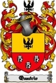 Thumbnail Quadrio Family Crest  Quadrio Coat of Arms Digital Download